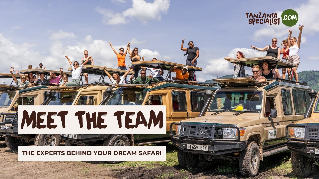 Meet the Team Behind Your Dream Safari | Tanzania Specialist