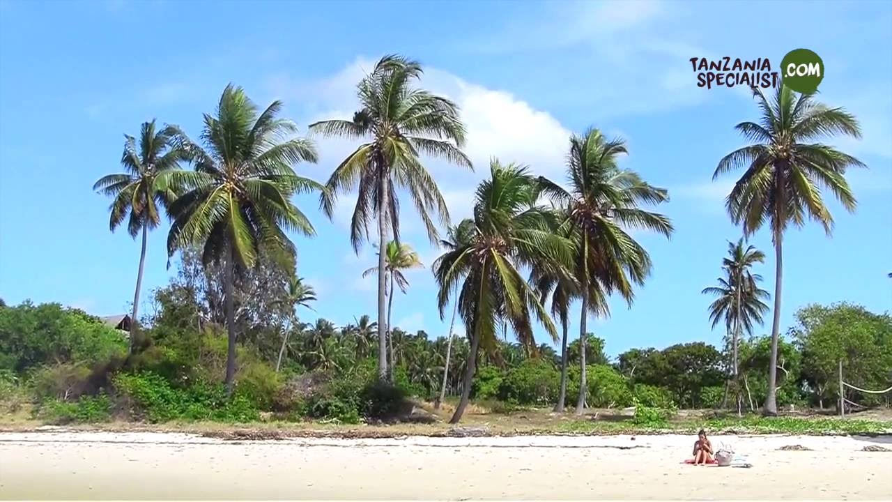 Pemba Island HD Tanzania Specialist